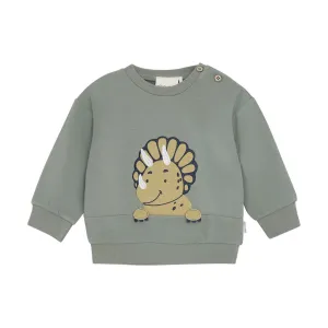 Dino Applique Sea Spray Green Sweater