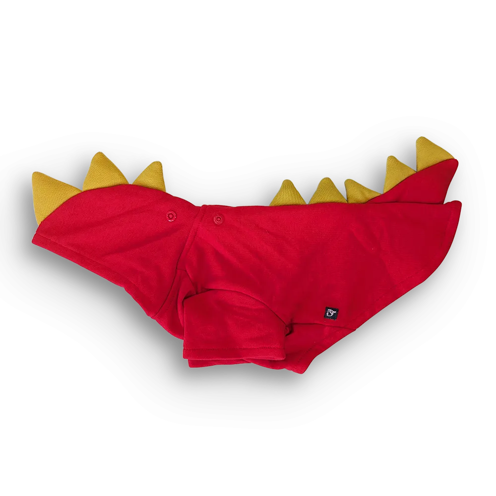 dragon sweatshirt