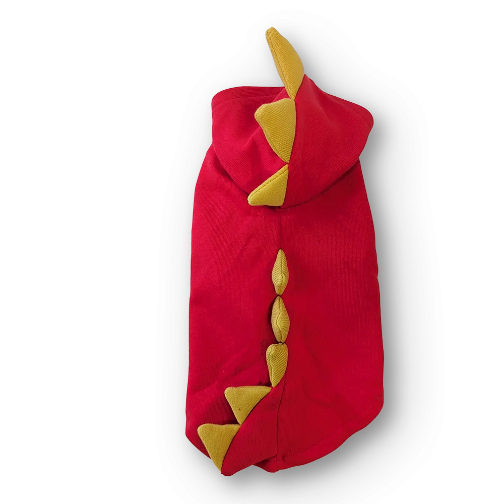 dragon sweatshirt