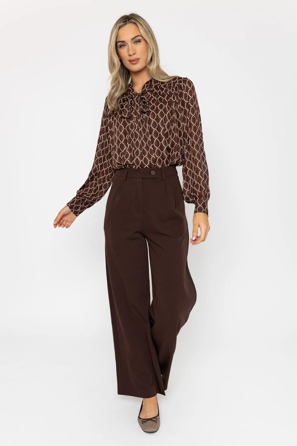Long Sleeve Printed Pussy Bow Blouse in Brown