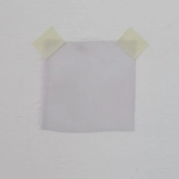 Organza Lilac