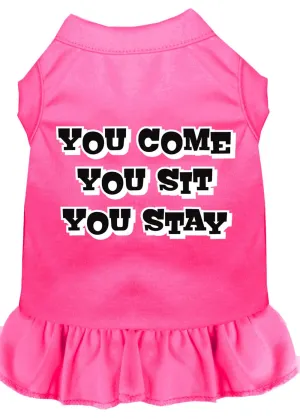 You Come, You Sit, You Stay Screen Print Dress Bright Pink Med (12)